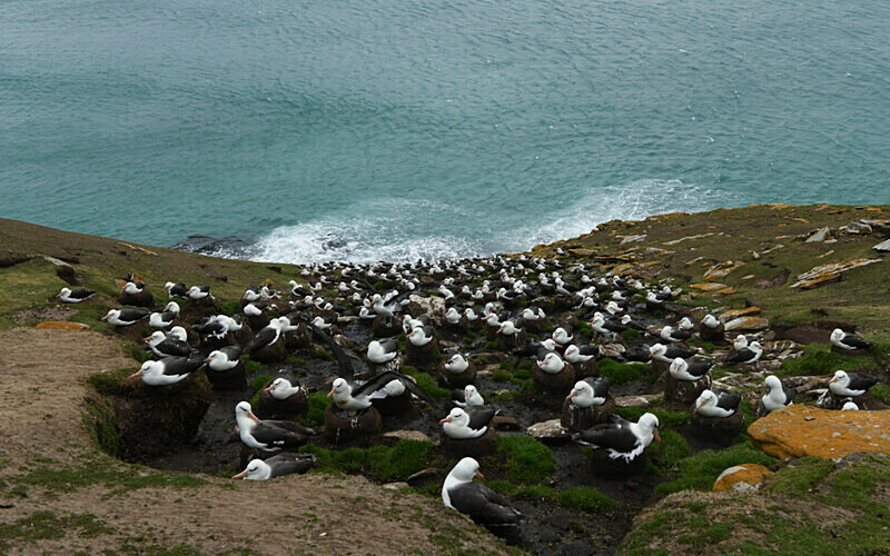  - Ushuaïa Malvinas South Georgia Antartica Peninsula