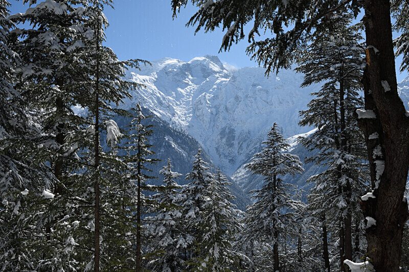 View from Kalpa - Spiti panthère des neiges  Inde 2023