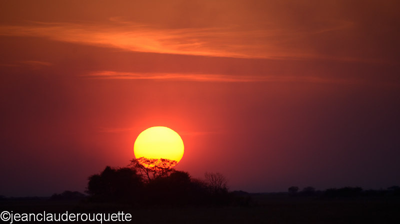 Sunset on the Busanga plain - Kafue N.P. (Zambia2014)