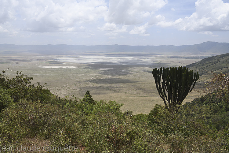 N'Gorongoro crater - Serengeti N.P. and N'Gorongoro Tanzania 2018