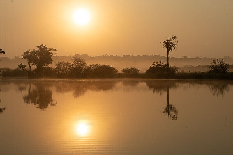 Akaka river - Loango national park (Gabon 2024)