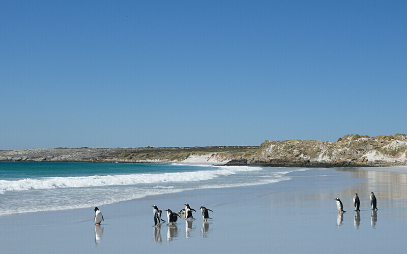  - Ushuaïa Malvinas South Georgia Antartica Peninsula