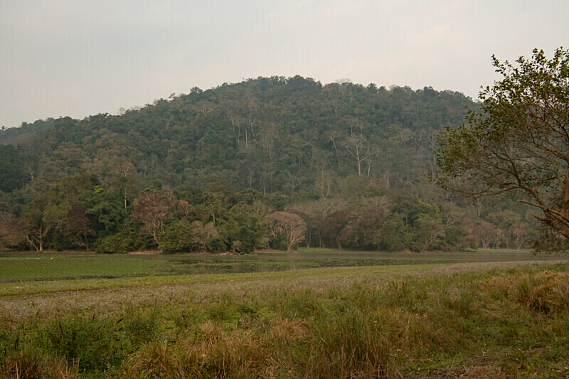 Far west gate - Kaziranga National Park Noth East India 2025