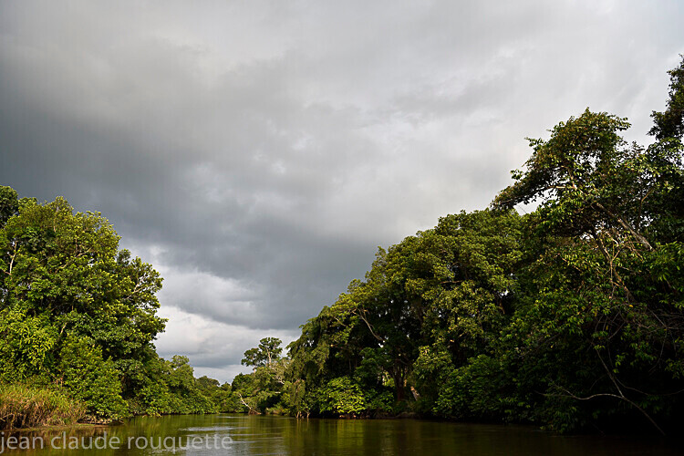 Lekoli river