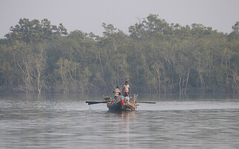  - Sundarban National Park North East India February 2025