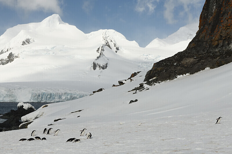  - Ushuaïa Malvinas South Georgia Antartica Peninsula