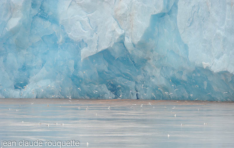 The West coast glacier snout. - Svalbard et Norvège 2011