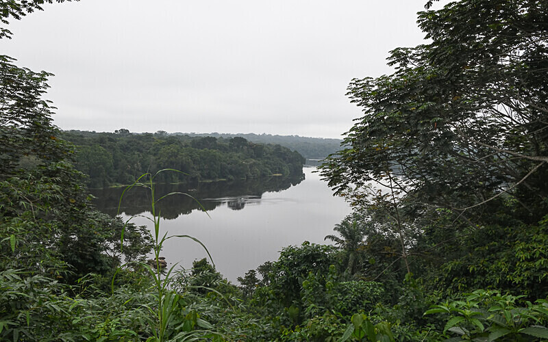 IIvindo - Ivindo national park (Gabon 2024)