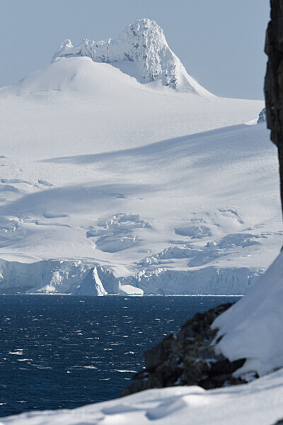 Halfmoon Island - Ushuaïa Malvinas South Georgia Antartica Peninsula
