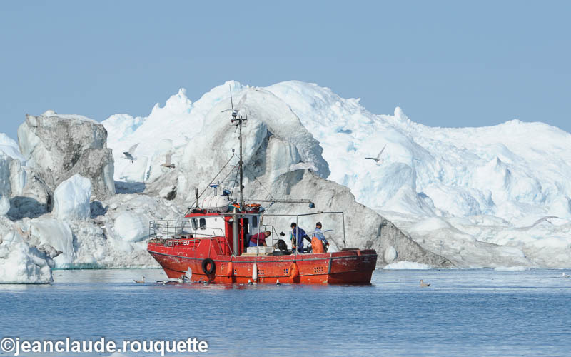 Fishermen in Disko - West Coast of Greenland 2012