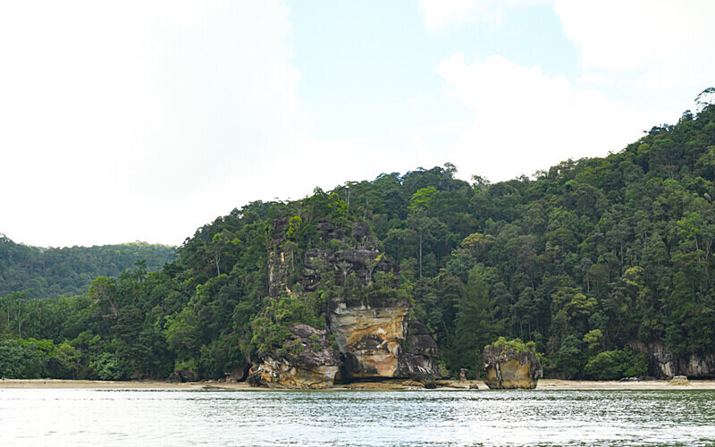 Bako National Park - Sarawak (avril 2024) Borneo Malaisie