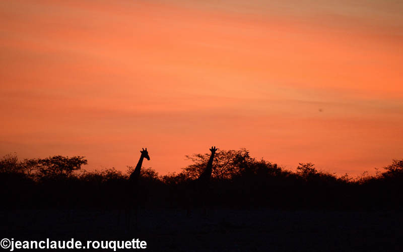 Sunset at Okaukuejo - Etosha N.P.(Namibia 2013)