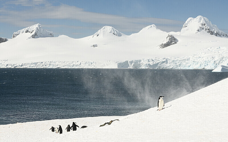  - Ushuaïa Malvinas South Georgia Antartica Peninsula