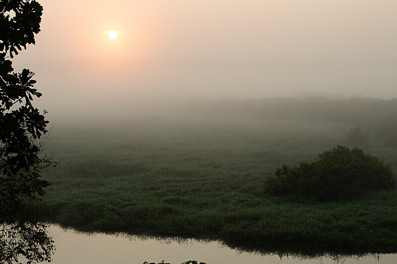Akaka camp - Loango national park (Gabon 2024)