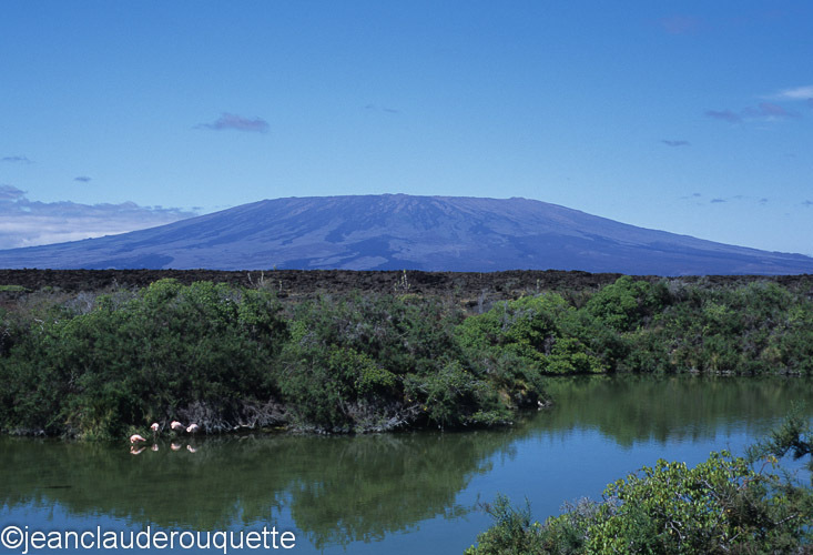 Volcano on Isabela island - The Galapagos islands, Ecuador 2008
