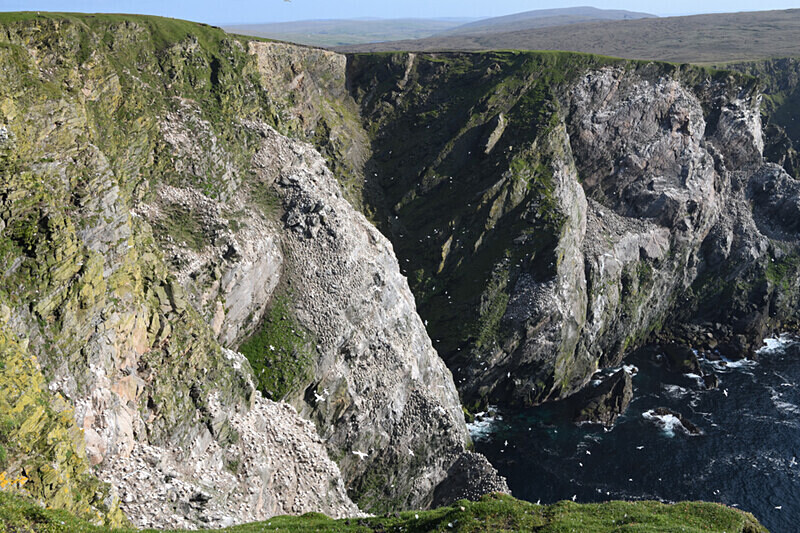 Herma Ness - Shetlands and Cairngorn national park (Scotland)