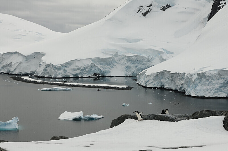  - Ushuaïa Malvinas South Georgia Antartica Peninsula