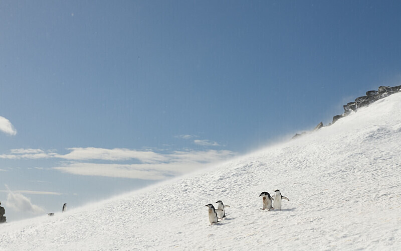  - Ushuaïa Malvinas South Georgia Antartica Peninsula