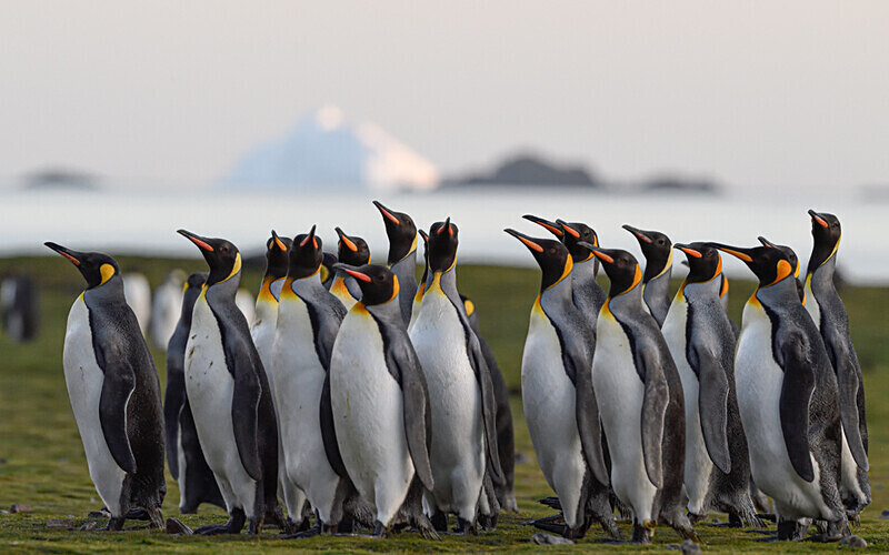  - Ushuaïa Malvinas South Georgia Antartica Peninsula