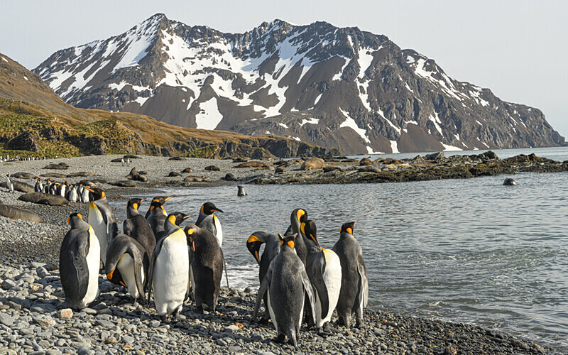  - Ushuaïa Malvinas South Georgia Antartica Peninsula