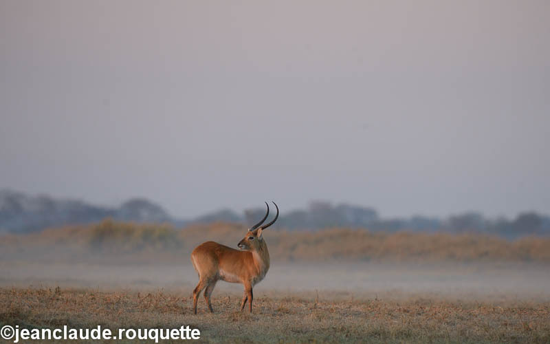 Beautiful morning - Kafue N.P. (Zambia2014)