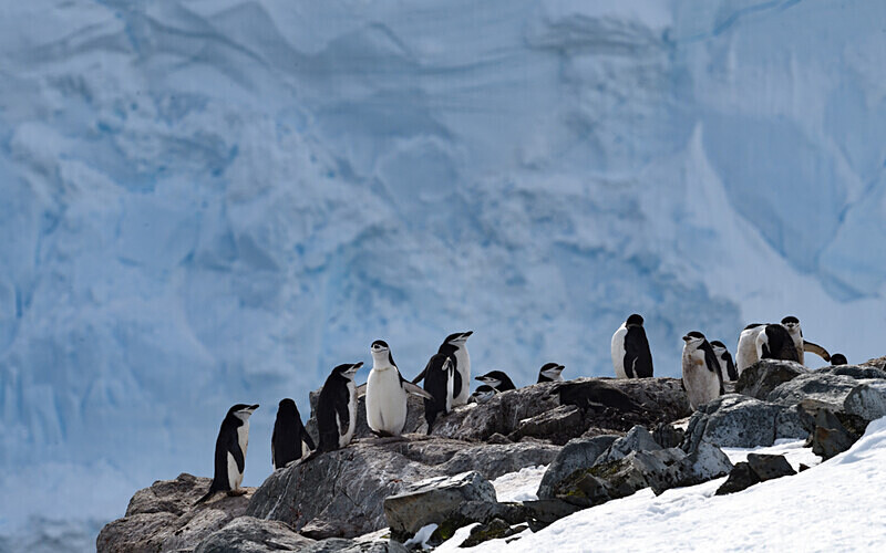  - Ushuaïa Malvinas South Georgia Antartica Peninsula