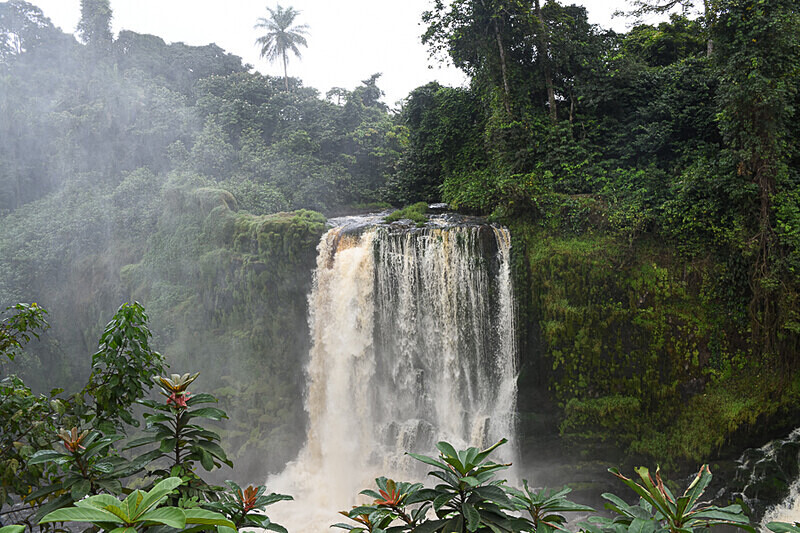 Kongou falls - Ivindo national park (Gabon 2024)