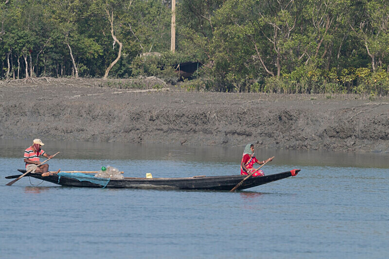  - Sundarban National Park North East India February 2025