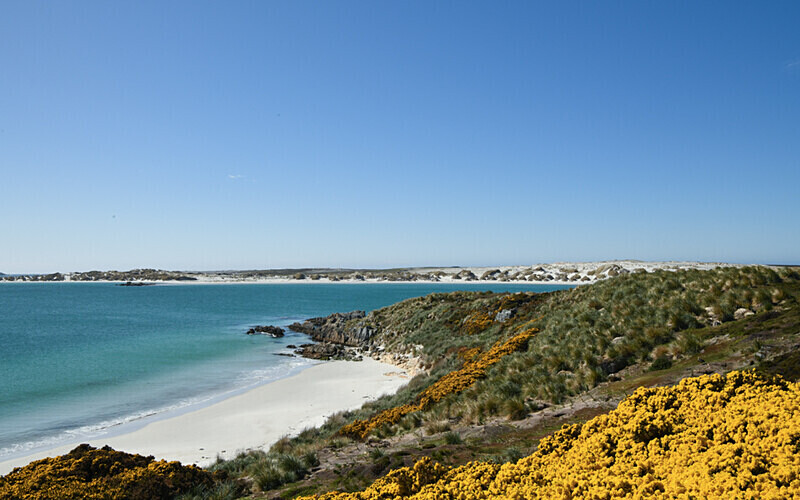 Yorke Bay Beach - Ushuaïa Malvinas South Georgia Antartica Peninsula