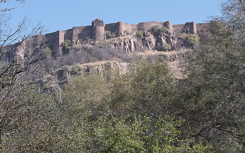 The fort of Ranthambhore - Ranthambhore 2017