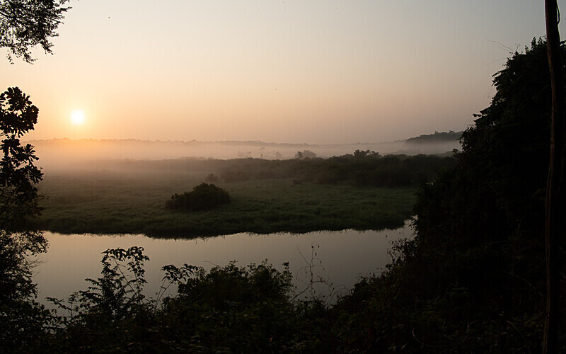 Akaka camp - Loango national park (Gabon 2024)