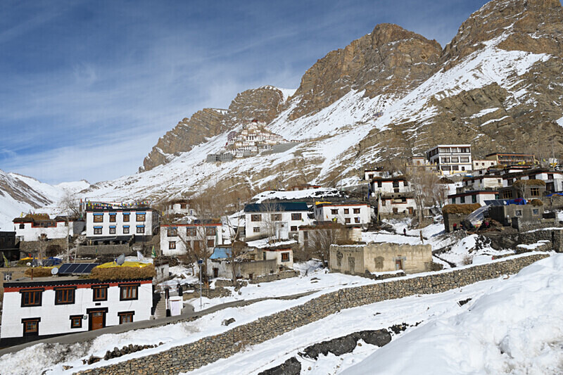 Shey Monastry near Kaza - Spiti panthère des neiges  Inde 2023