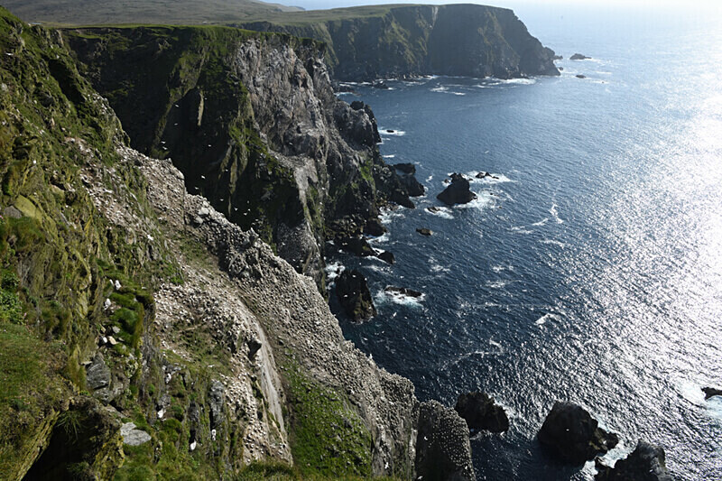 Herma Ness Usnt - Shetlands and Cairngorn national park (Scotland)