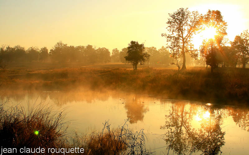 Kanha at the sunrise. - Kanha NP and Bandhavgarh (India 2010)