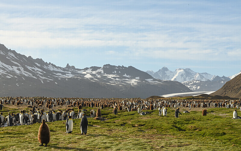  - Ushuaïa Malvinas South Georgia Antartica Peninsula