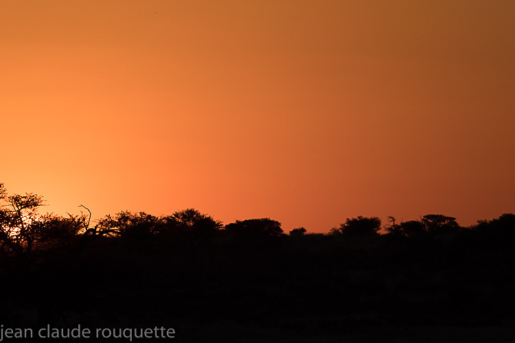  - Kgalagadi transfrontier park (2017)