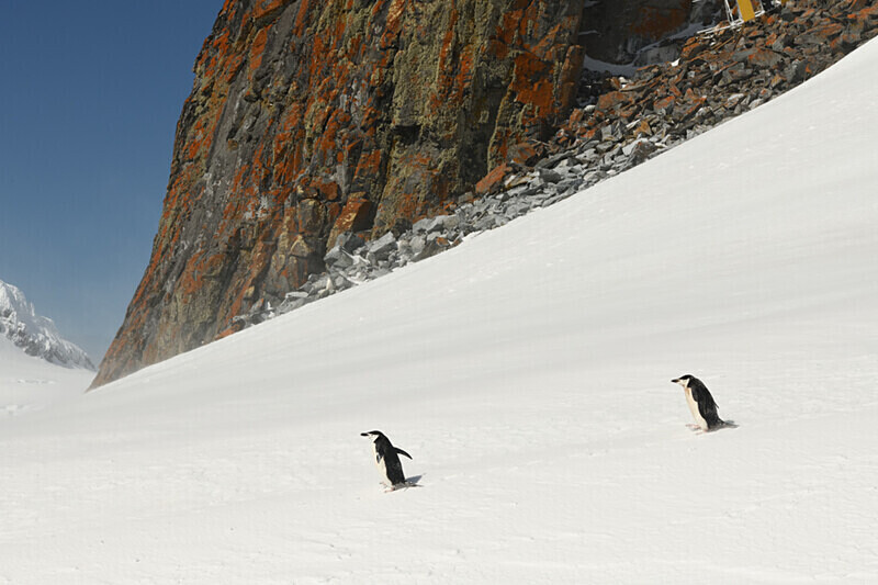  - Ushuaïa Malvinas South Georgia Antartica Peninsula