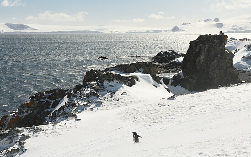  - Ushuaïa Malvinas South Georgia Antartica Peninsula