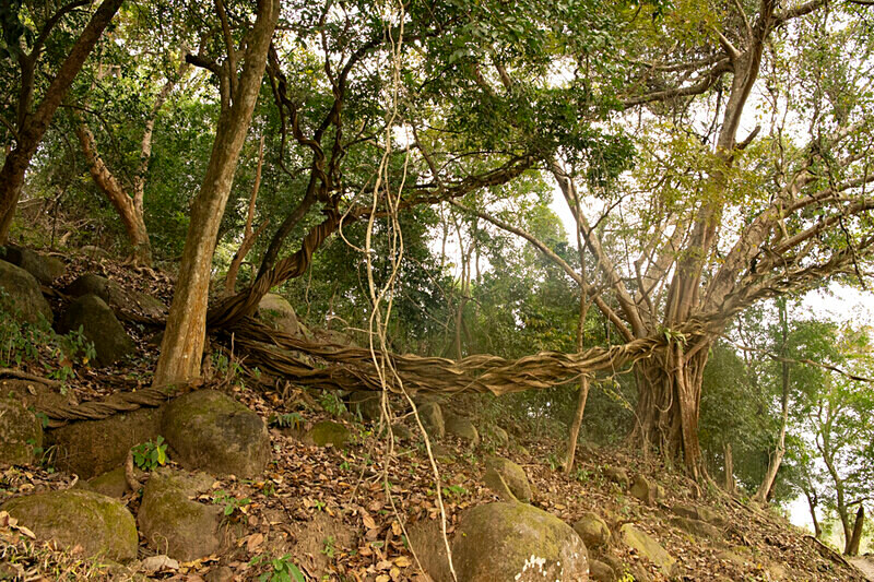 Far west gate - Kaziranga National Park Noth East India 2025