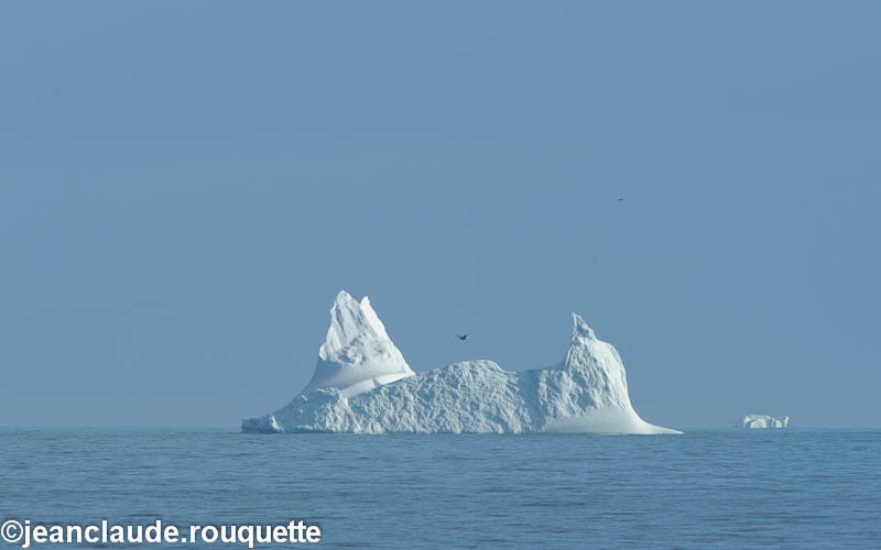 Iceberg near Pont Inlet - North Canada 2012