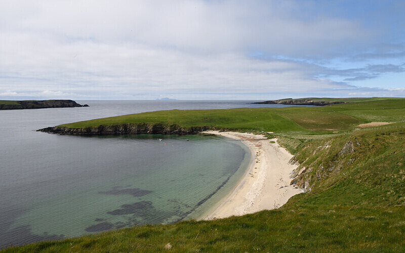 Phoques communs sur la plage - Shetlands and Cairngorn national park (Scotland)