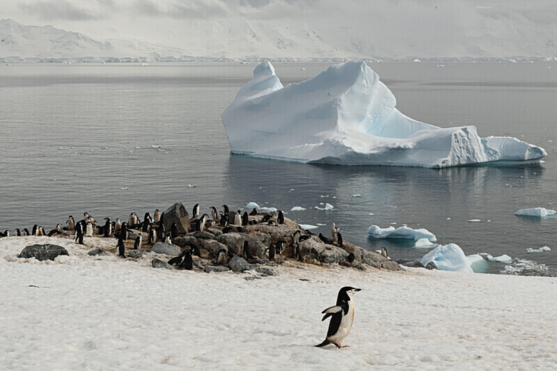  - Ushuaïa Malvinas South Georgia Antartica Peninsula