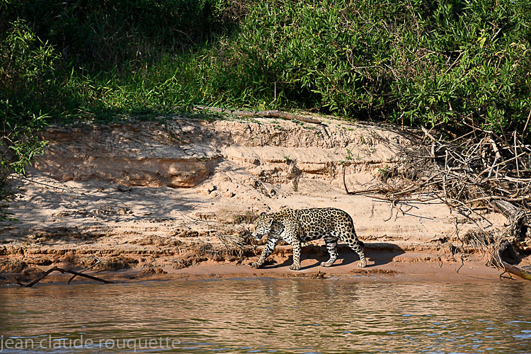  - Pantanal 2018 Porto Jofré