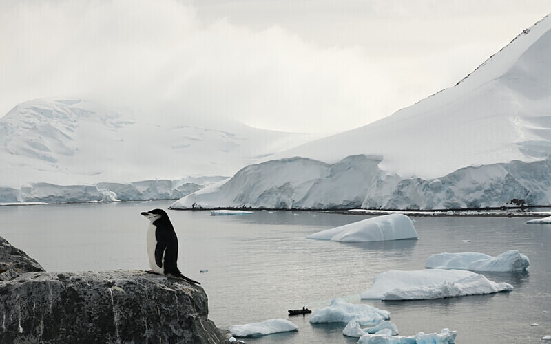  - Ushuaïa Malvinas South Georgia Antartica Peninsula