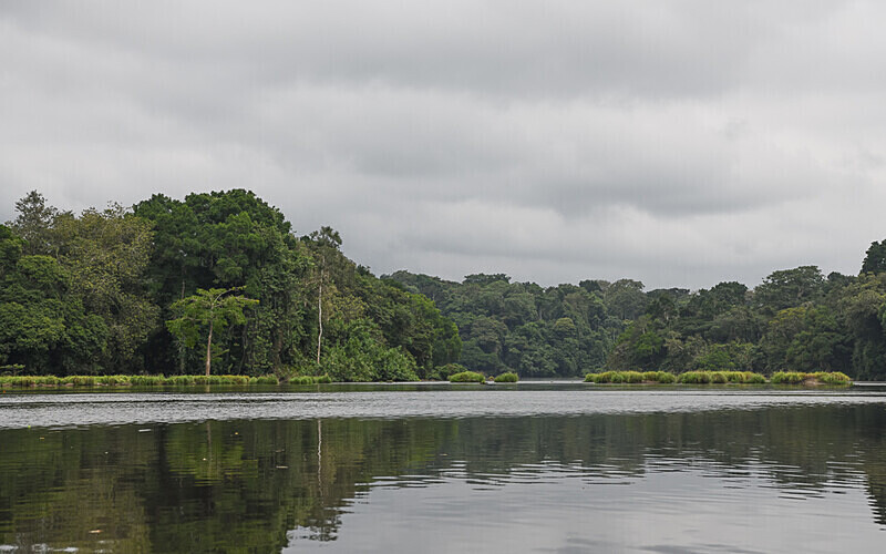 Ivindo - Ivindo national park (Gabon 2024)