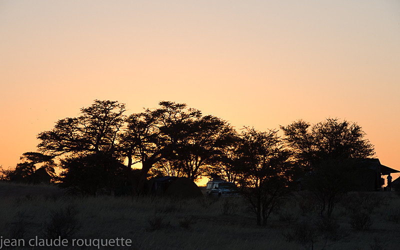  - Kgalagadi transfrontier park (2017)