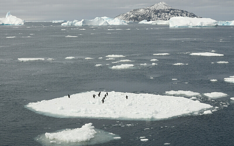  - Ushuaïa Malvinas South Georgia Antartica Peninsula