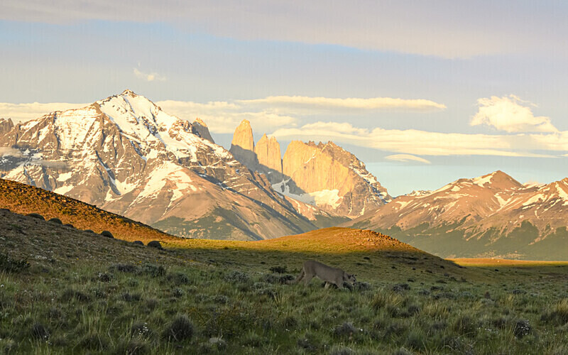 Amarga and Torres del paine - Patagonie Chilienne: Magellan Channel and Torres del Paine N.P.
