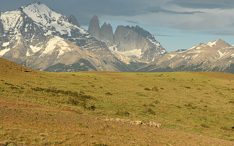  - Patagonie Chilienne: Magellan Channel and Torres del Paine N.P.