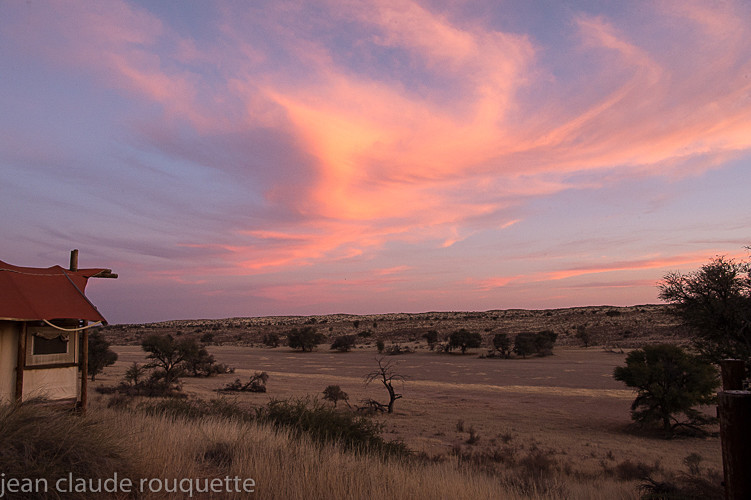  - Kgalagadi transfrontier park (2017)